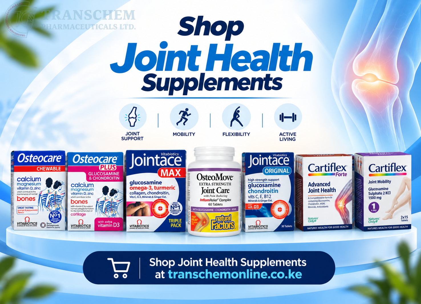 JOINT SUPPLEMENTS